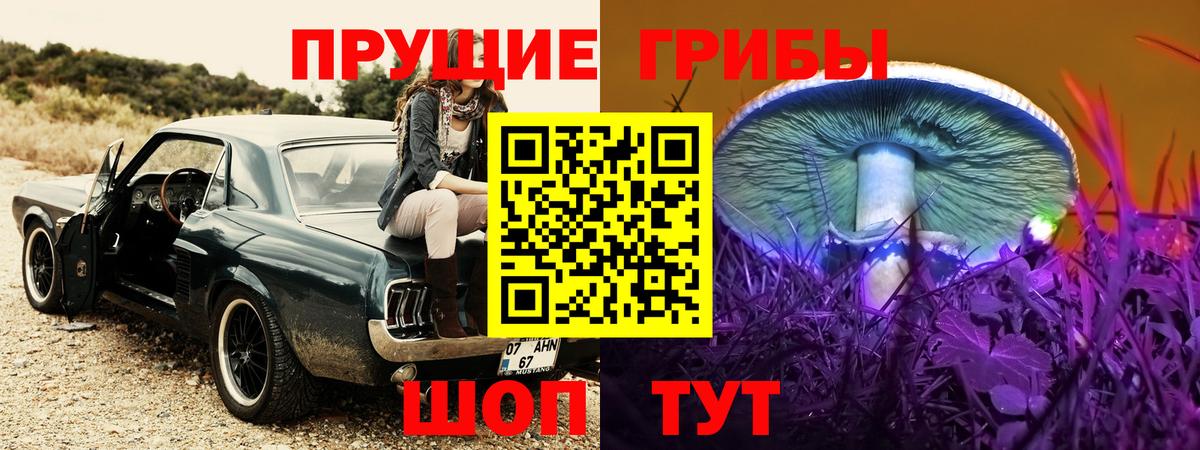 Псилоцибиновые грибы GOLDEN TEACHER Новочеркасск