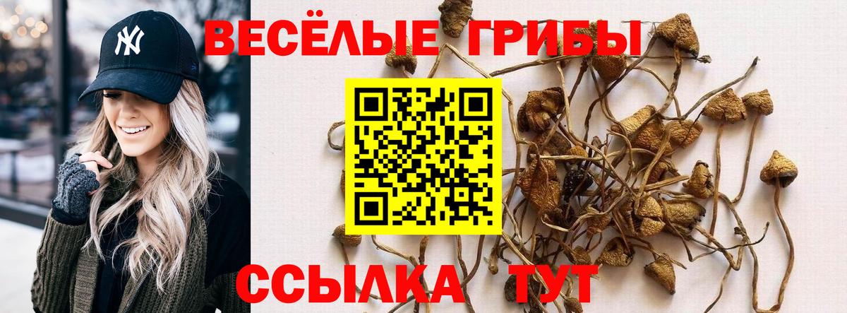 Псилоцибиновые грибы MAGIC MUSHROOMS  Псилоцибиновые грибы Psilocybine cubensis  Вход с VPN  Новочеркасск 